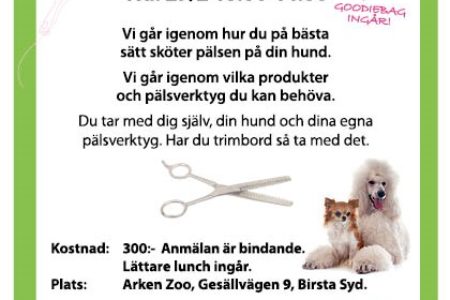 Pälsvårdkurs i Sundsvall