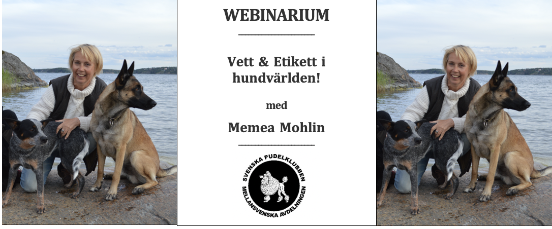 Webinarium – Vett & Etikett i hundvärlden!