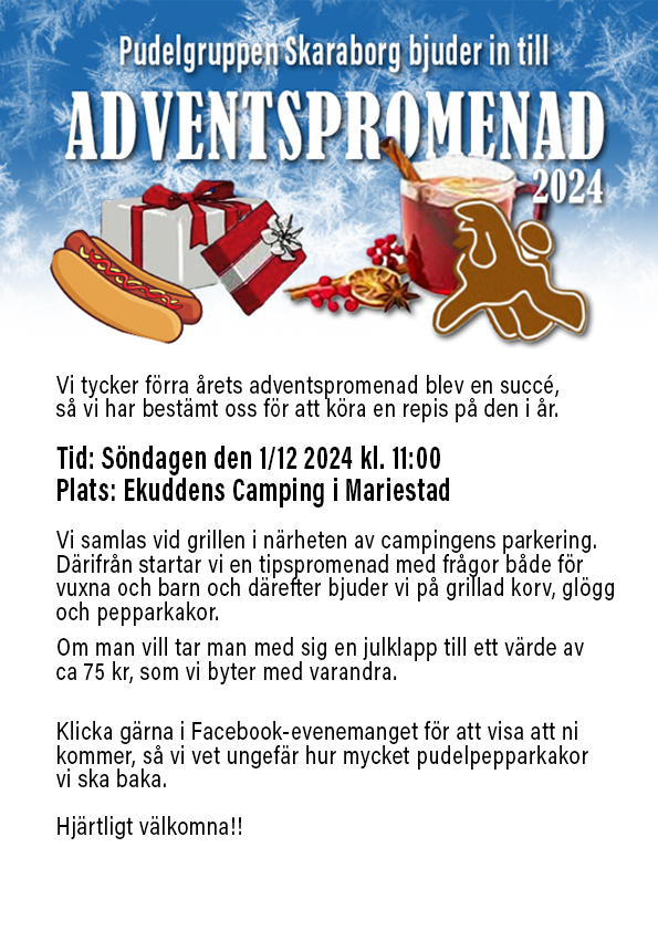 Adventspromenad Söndag 1/12 i Skaraborg