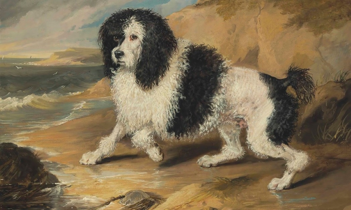 Tapageur, the Poodle belonging to the Honorable Frederick Byng (1819) Sir Edwin Henry Landseer