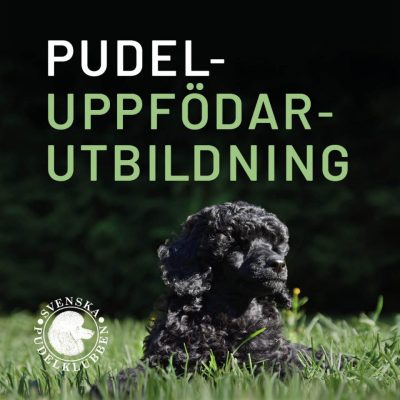 SPK Uppfödarutbildning 1080x1080-1