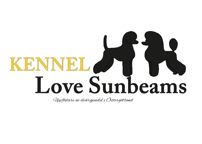 Kennel Love Sunbeams