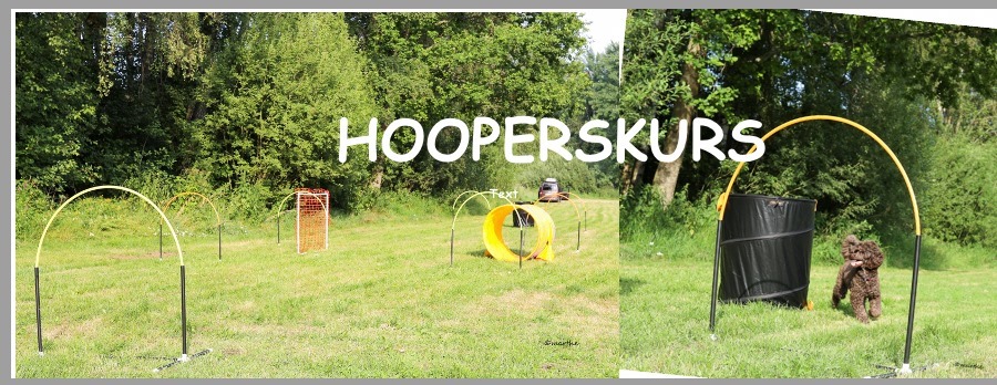 Hoopers Grundkurs