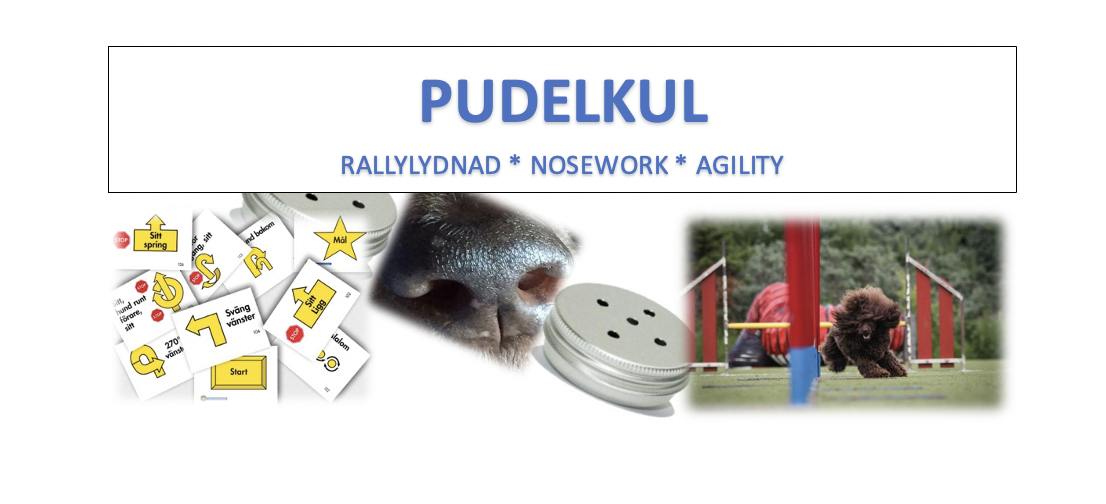 Pudelkul Grundkurs DAGTID