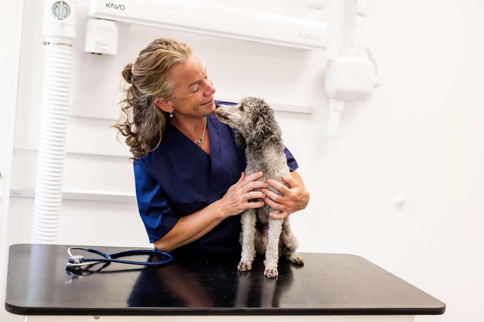 Webinarium med veterinär Sara Mohin